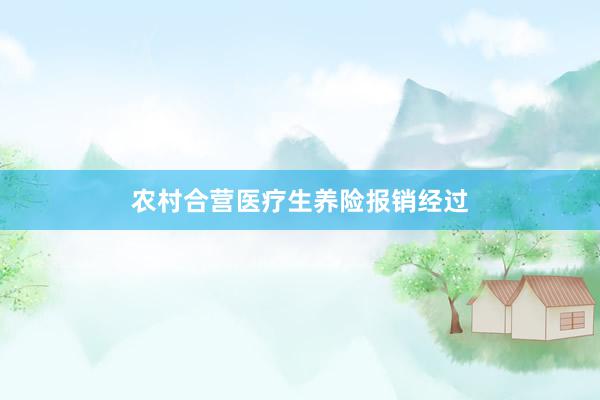 农村合营医疗生养险报销经过