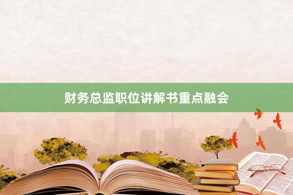 财务总监职位讲解书重点融会